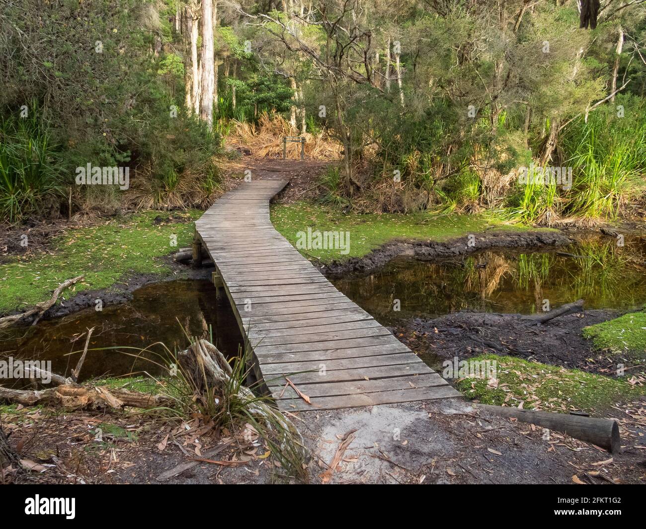 Ponte pedonale in legno su Cove Creek al campeggio Refuge Cove - Wilsons Promontory, Victoria, Australia Foto Stock