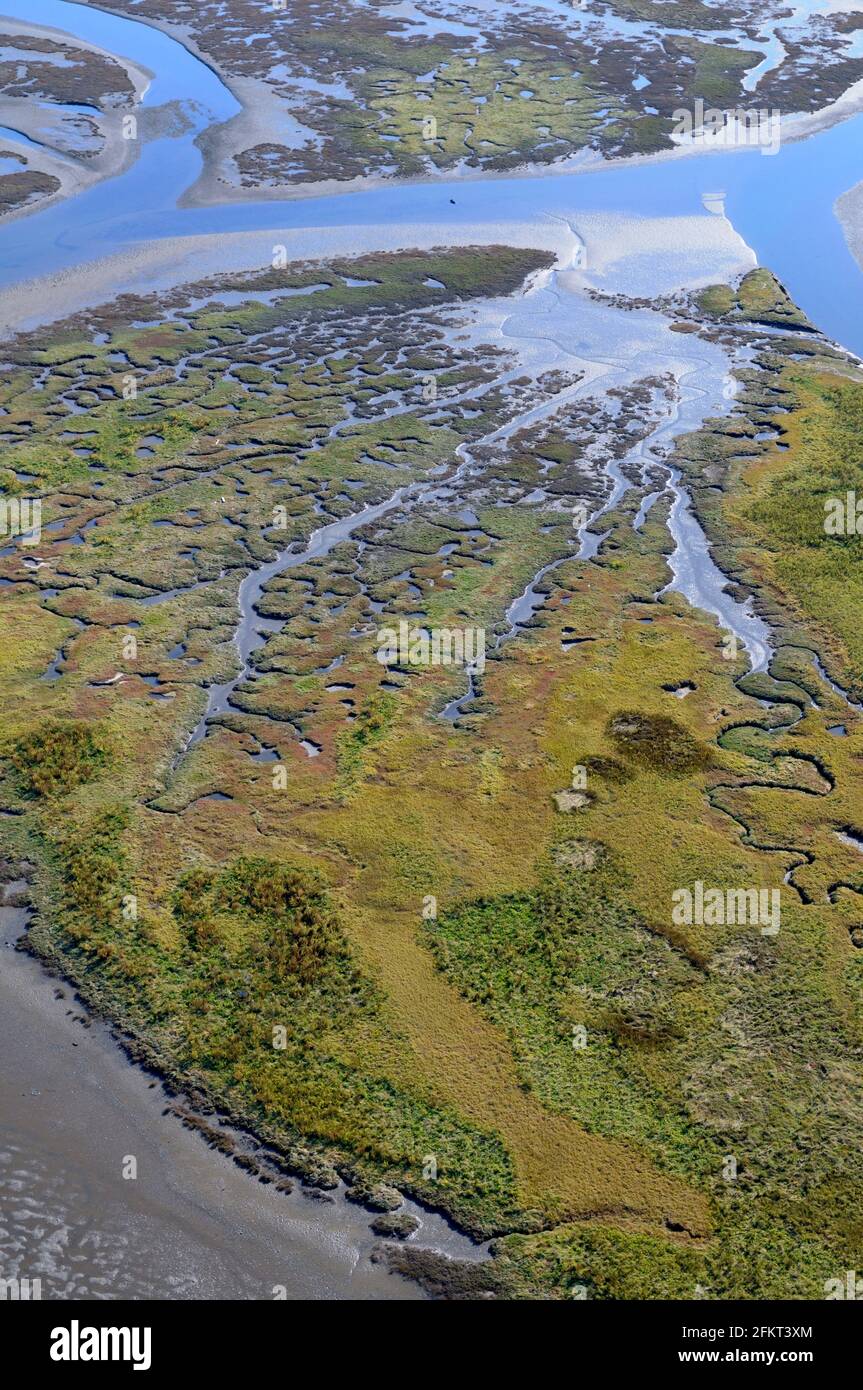 Fotografia aerea dell'estuario del fiume Chemainus, Chemainus Valley, Vancouver Island, British Columbia, Canada. Foto Stock