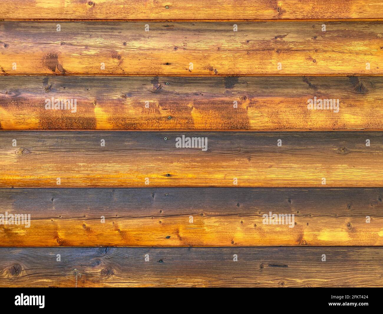 legno cabina costruzione parete esterna resistente alle intemperie e verniciato lucido Foto Stock