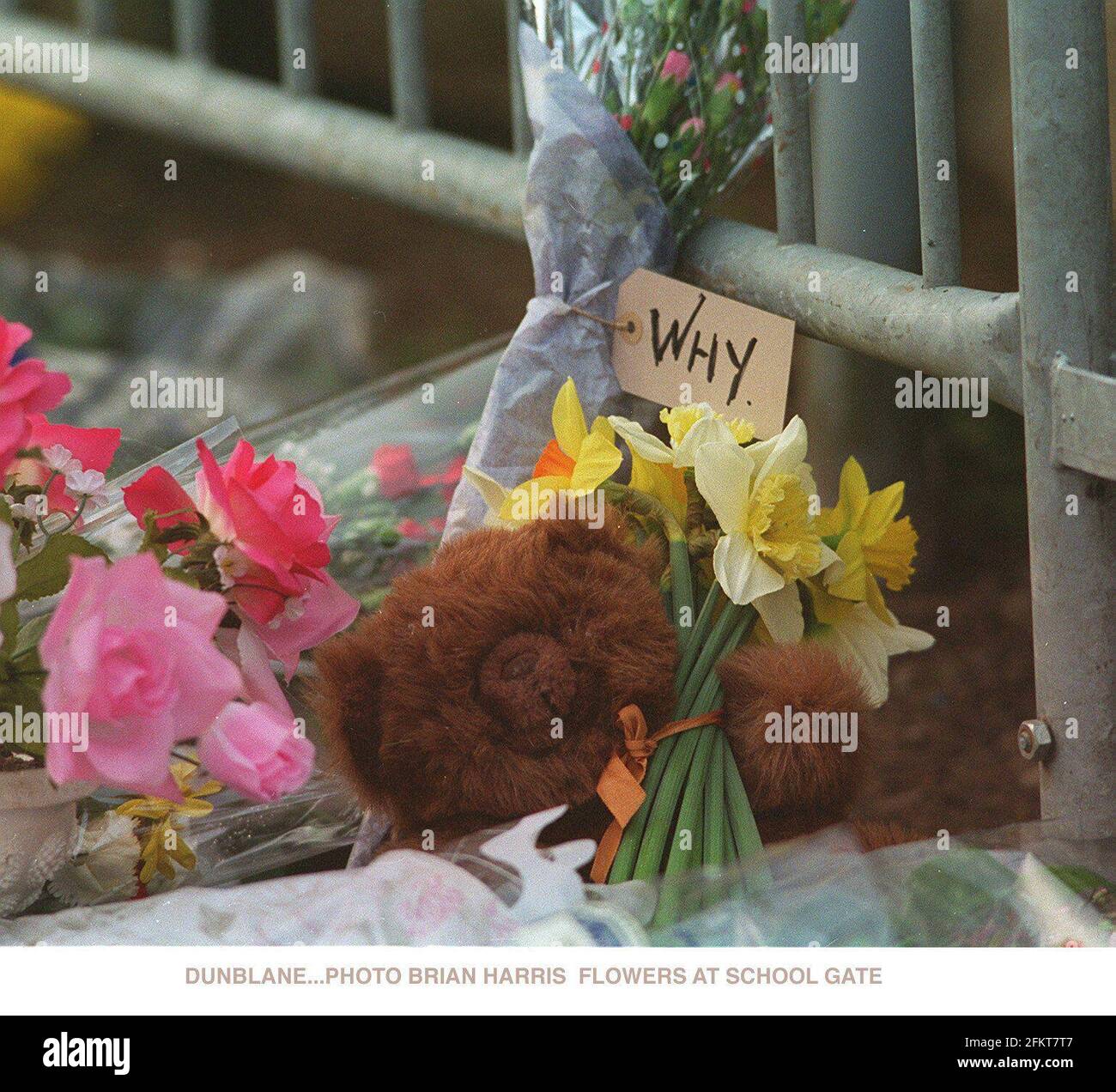 Al di fuori della scuola primaria di Dunblane, erano tributi floreali e orsacchiotti poggiati a terra contro il muro Foto Stock