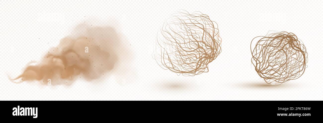 Tumbleweed, pallina secca e nuvole di polvere marrone isolate su sfondo trasparente. Vettore realistico set di flusso sabbia desertica e piante morte, rotolando cespugli asciutti, vecchia erba tumble in prateria Illustrazione Vettoriale