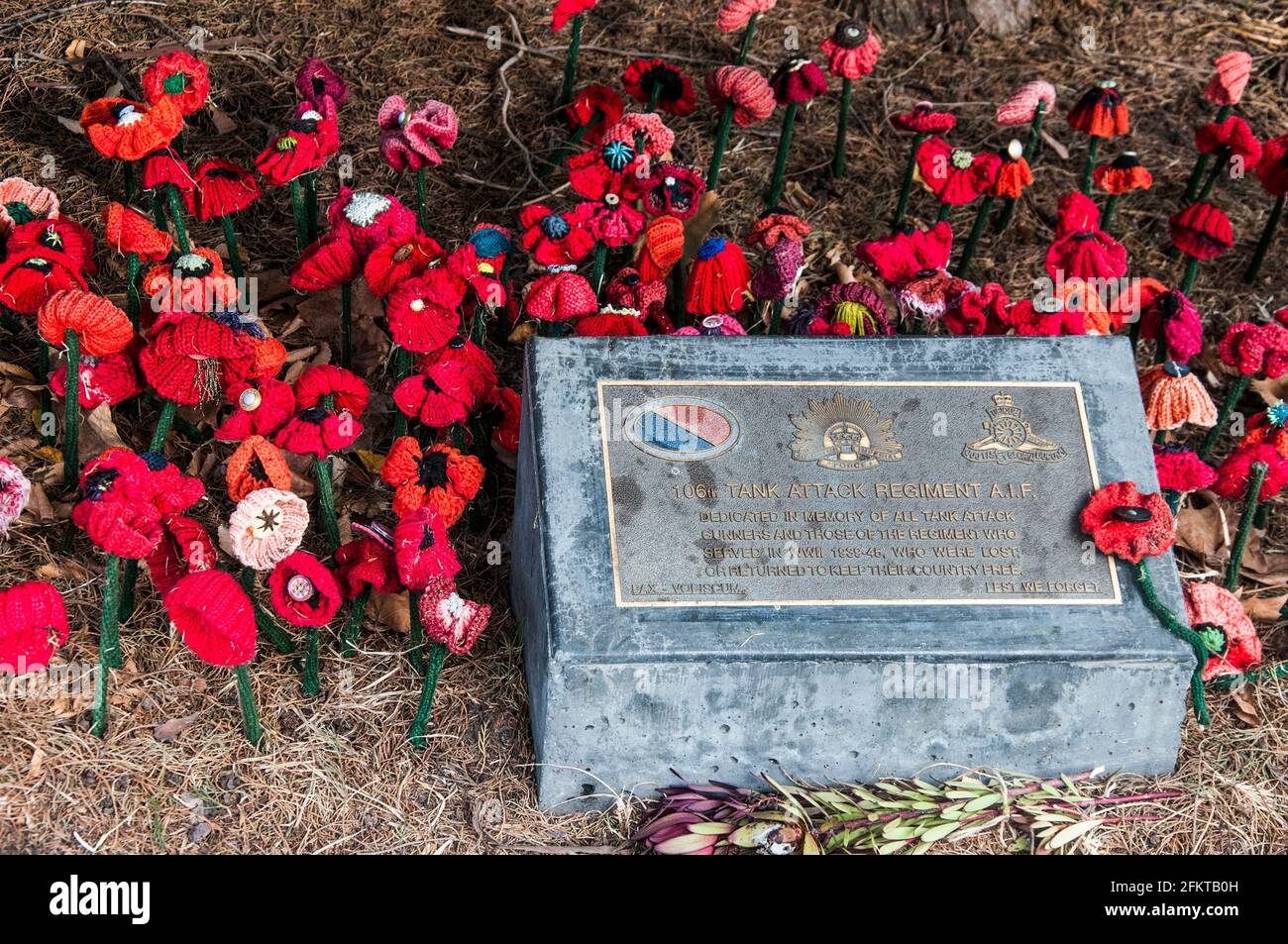 Lapide di guerra posta sul dominio dei re per onorare il 106th Tank Attack Regiment A.I.F., insieme ai papaveri lavorati a maglia, Melbourne, Australia Foto Stock