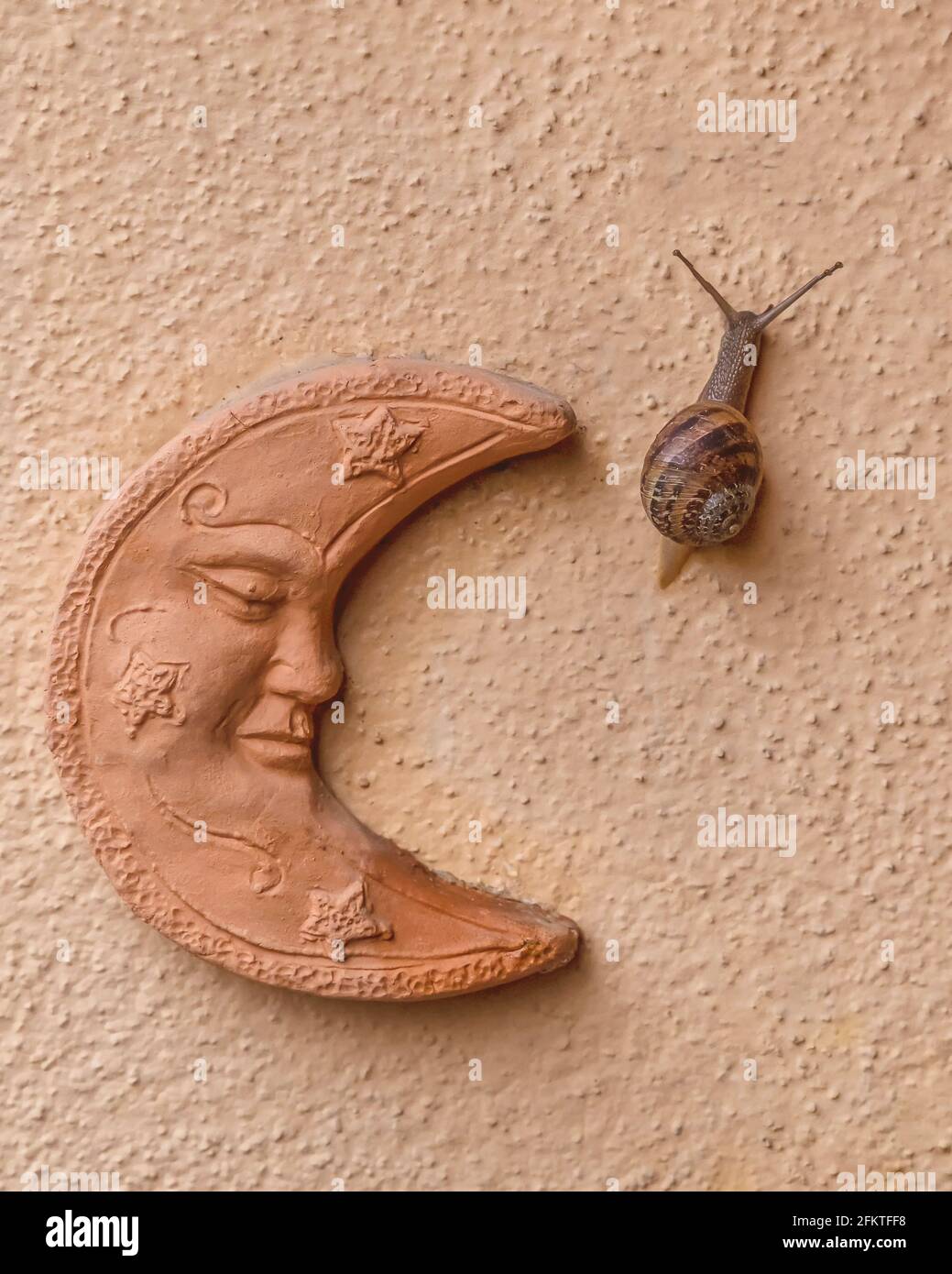 Una lumaca striscia su una parete rosa di salmone accanto a. una divertente luna a mezzaluna di terracotta disegnata con un volto umano Foto Stock