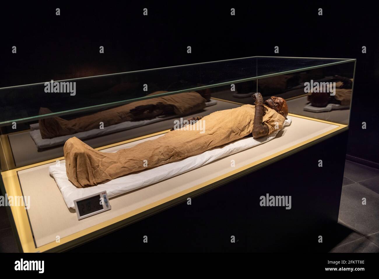 Mummia della regina Hatshepsut (morto 1458 a.C.), Museo Nazionale della civiltà Egizia Foto Stock