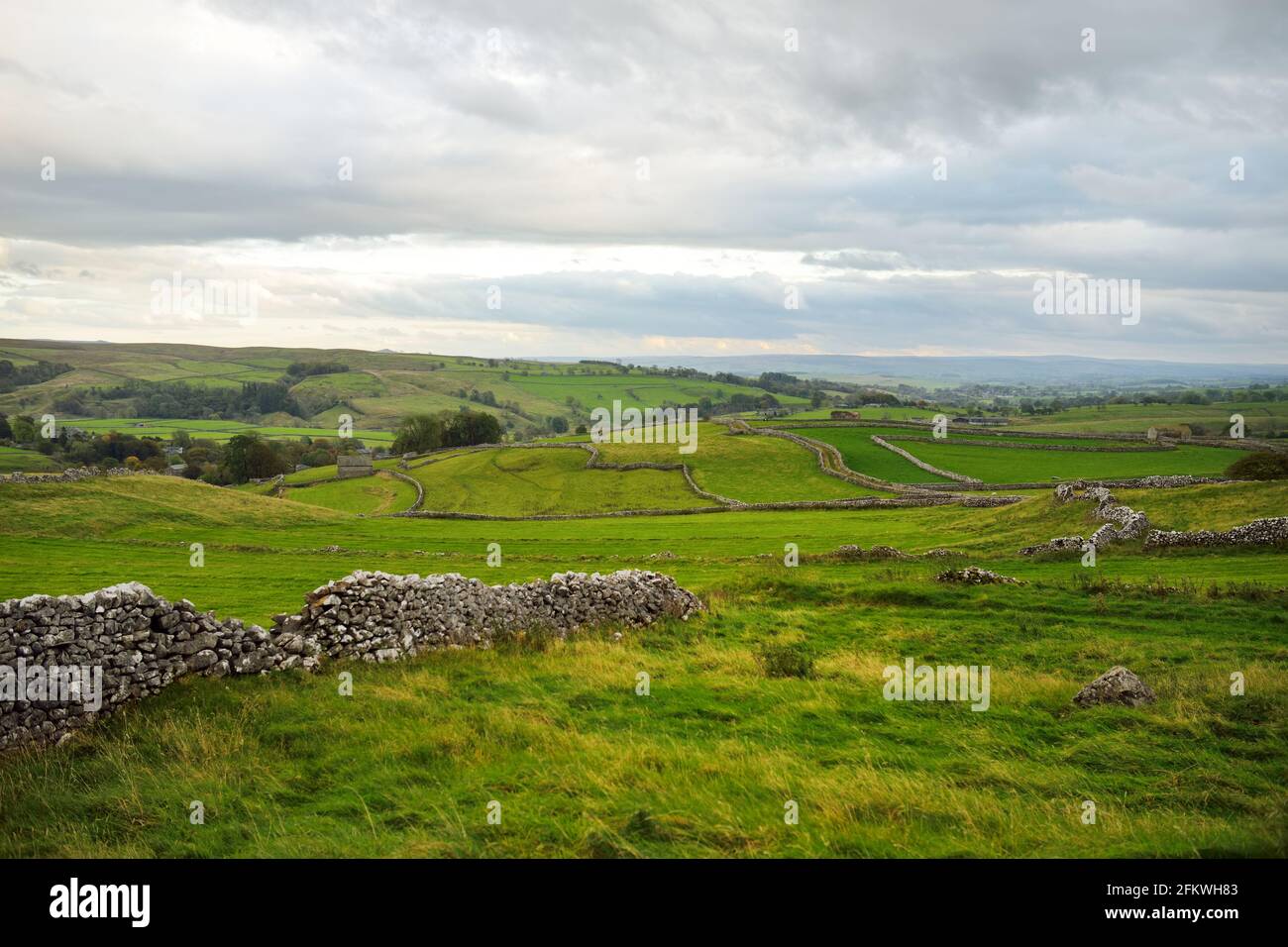 Recinzioni calcaree e prati verdi infiniti nel Parco Nazionale Yorkshire Dales nel nord dell'Inghilterra, Regno Unito. Foto Stock