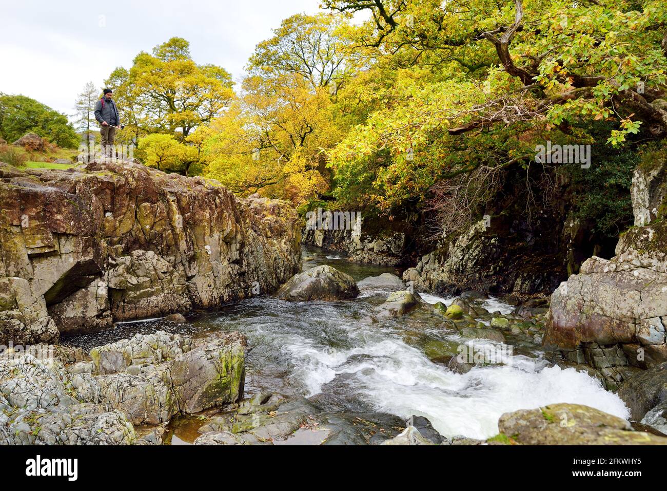 Acque selvagge di Stonethwaite Beck, un piccolo fiume formato alla confluenza di Langstrath Beck e Greenup Gill sotto Eagle Crag. Esplorare bello n Foto Stock