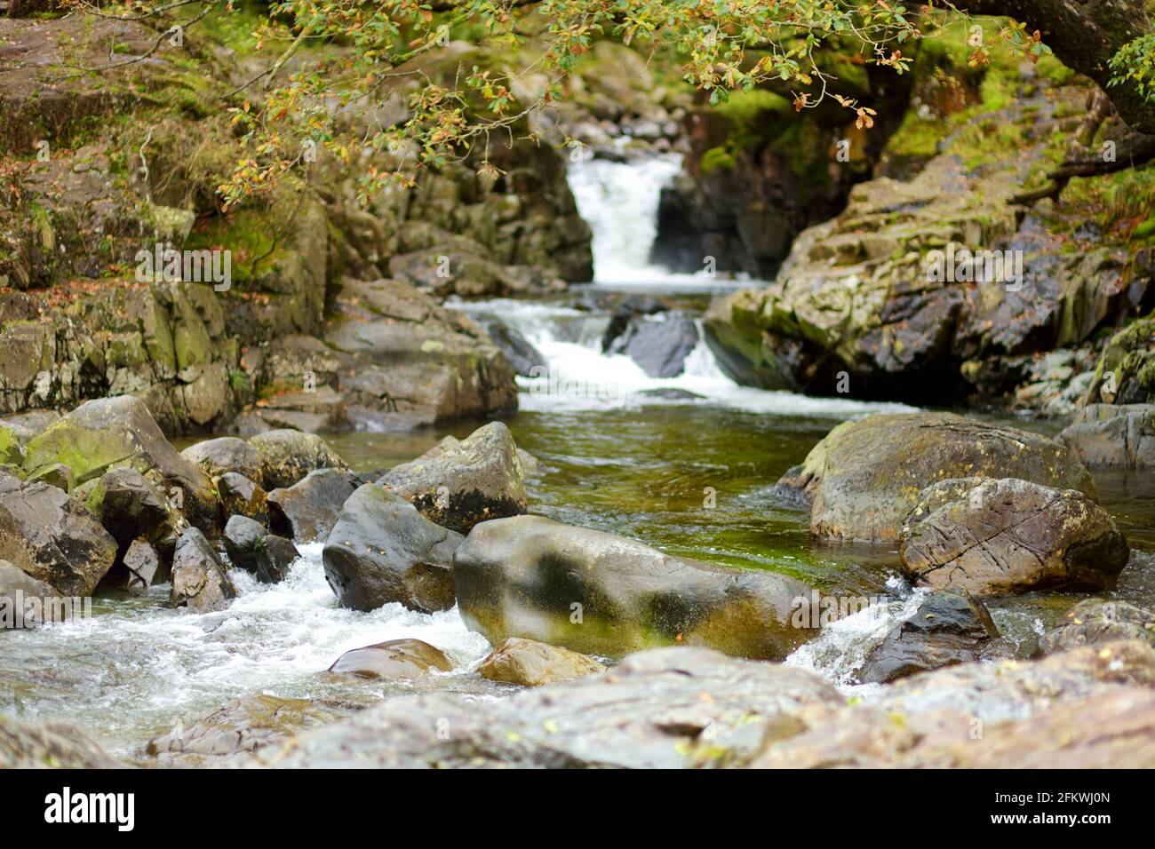 Acque selvagge di Stonethwaite Beck, un piccolo fiume formato alla confluenza di Langstrath Beck e Greenup Gill sotto Eagle Crag. Esplorare bello n Foto Stock