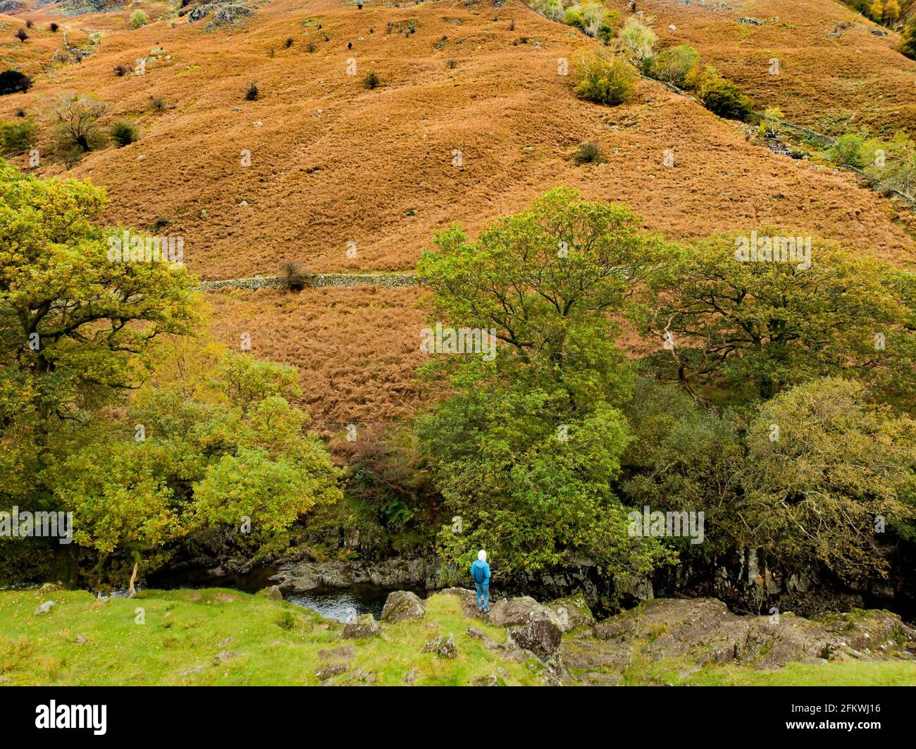 Vista aerea di Stonethwaite Beck, un piccolo fiume formato alla confluenza di Langstrath Beck e Greenup Gill sotto Eagle Crag. Esplorare bello n Foto Stock