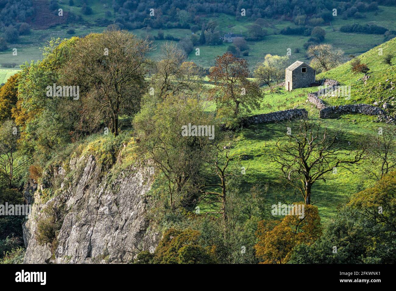 Autunno a Aldery Cliff (2) Foto Stock