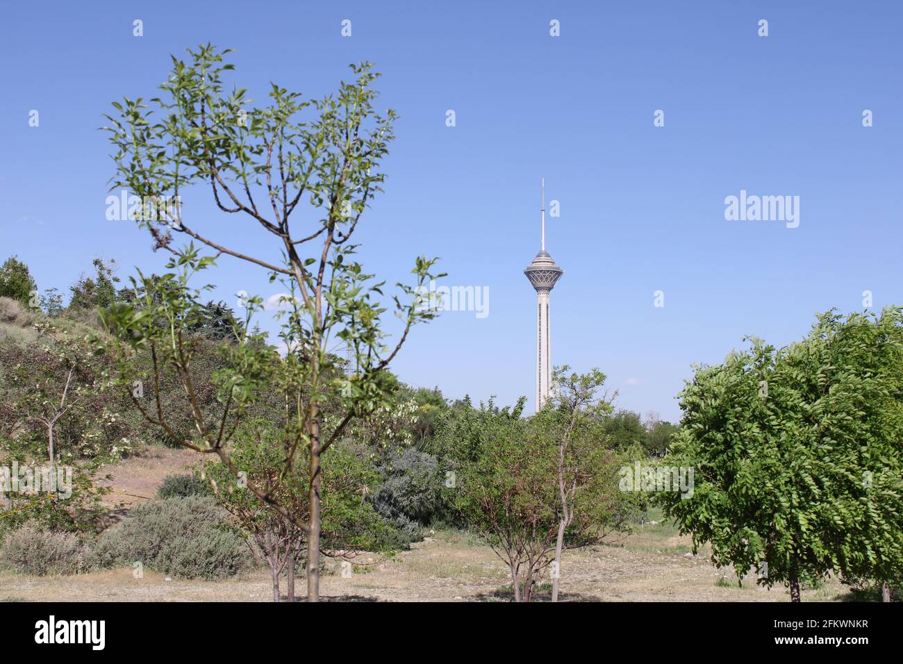 La Torre Milad di Teheran si trova nel Pardisan Park Foto Stock