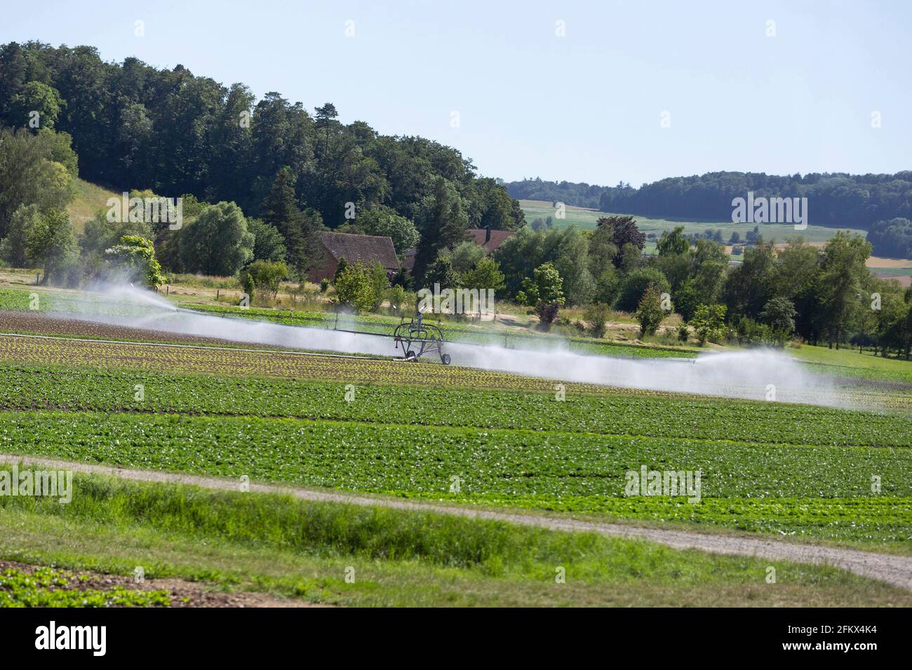 Irrigazione di campo Foto Stock