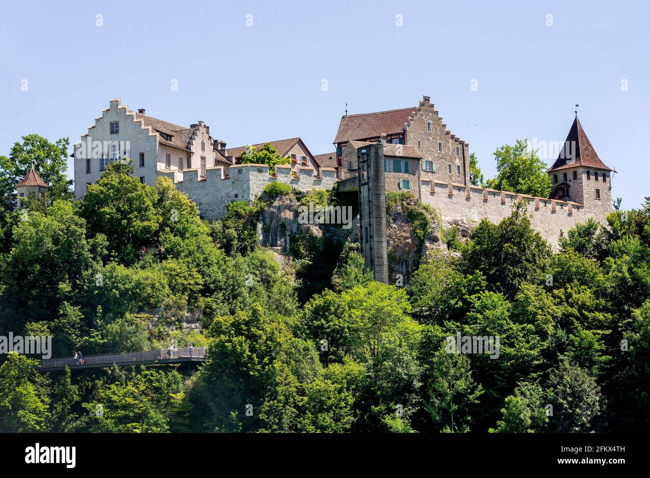 Castello Laufen, Cascate del Reno vicino a Schaffhausen, Svizzera Foto Stock