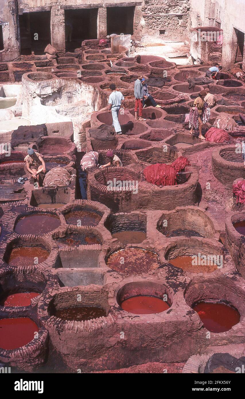 Chouara Tannery a Medina, Fes el Bali, Fez, Regione Fès-Meknès, Regno del Marocco Foto Stock