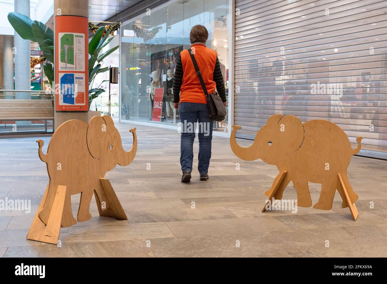 Elefante del bambino di Corona Foto Stock