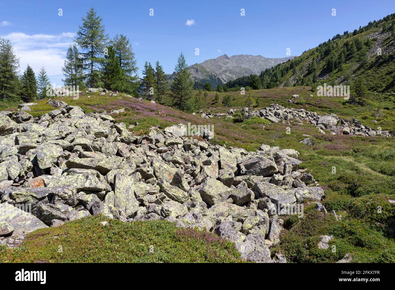 Campi di Rubble e Heather, territorio tirolese di protezione del paesaggio Patscherkofel Zimberg, Austria Foto Stock