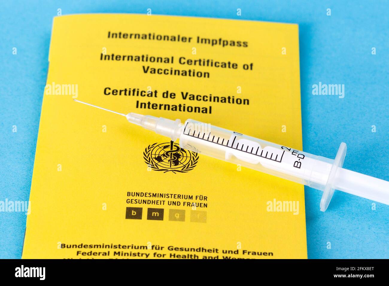 Certificato internazionale di vaccinazione Foto Stock