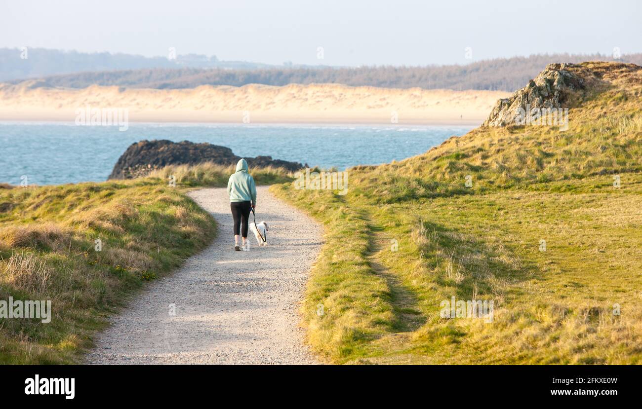 Ynys Llanddwyn,Llanddwyn, Llanddwyn Island,Anglessey,Anglesey,Ynys Mon,isola di Anglesey,isola,costa,litorale,percorso costiero,Isola di Anglesey Coastal Path,North,Wales,Welsh,GB,Great Britain,British,UK,United Kingdom,Europe.Ynys Llanddwy è una piccola isola occidentale di Môn (Galles). L'insediamento più vicino è il villaggio di Newborough. L'isola è di interesse geologico con lava a cuscino, formazioni di jasper e depositi di sabbia eoliana. L'isola fa parte della Riserva Naturale Nazionale di Newborough Warren.Tŵr il faro Mawr segna l'ovest Foto Stock