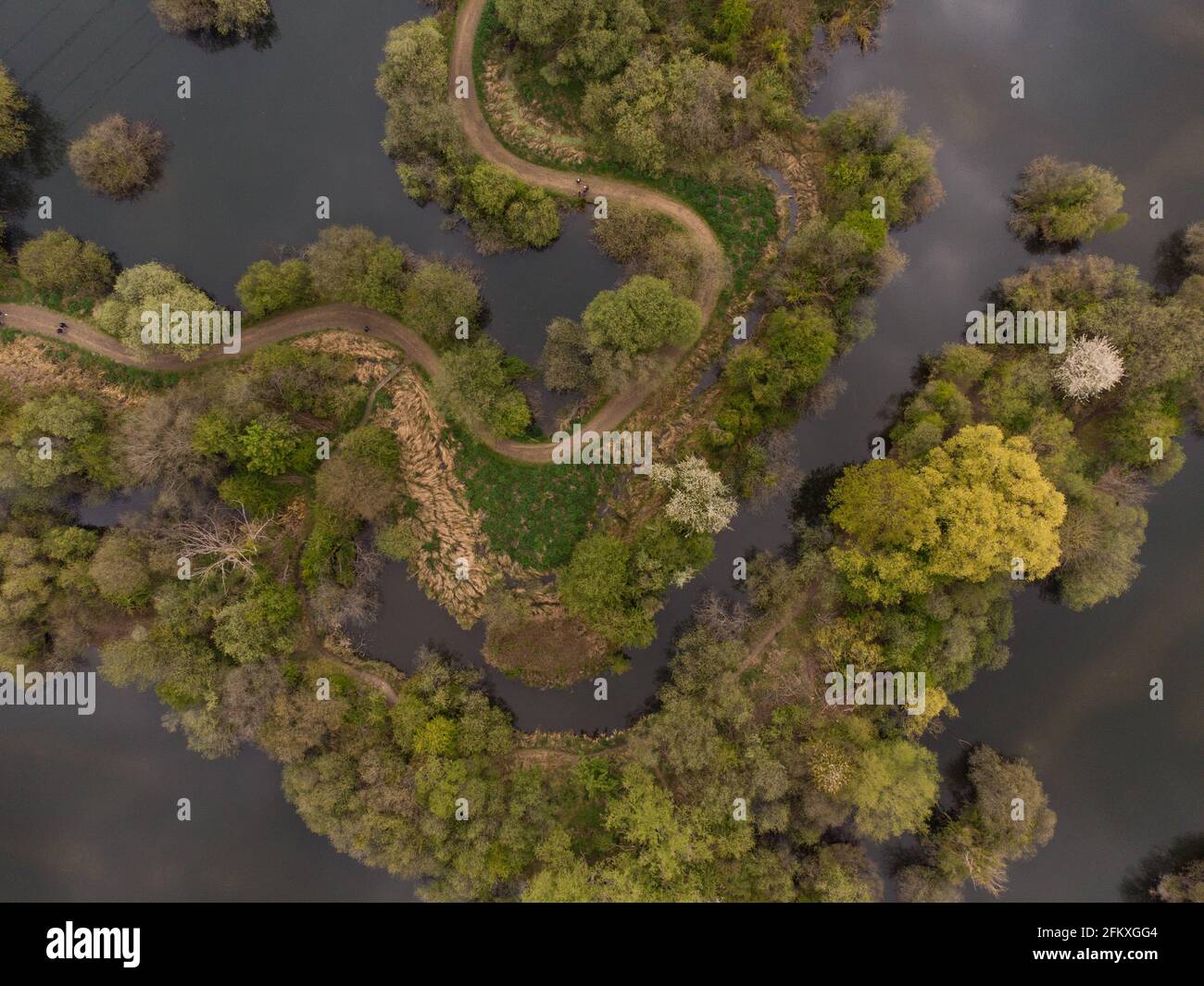 Laghi di Lee Valley Park, River Lee Country Park Foto Stock
