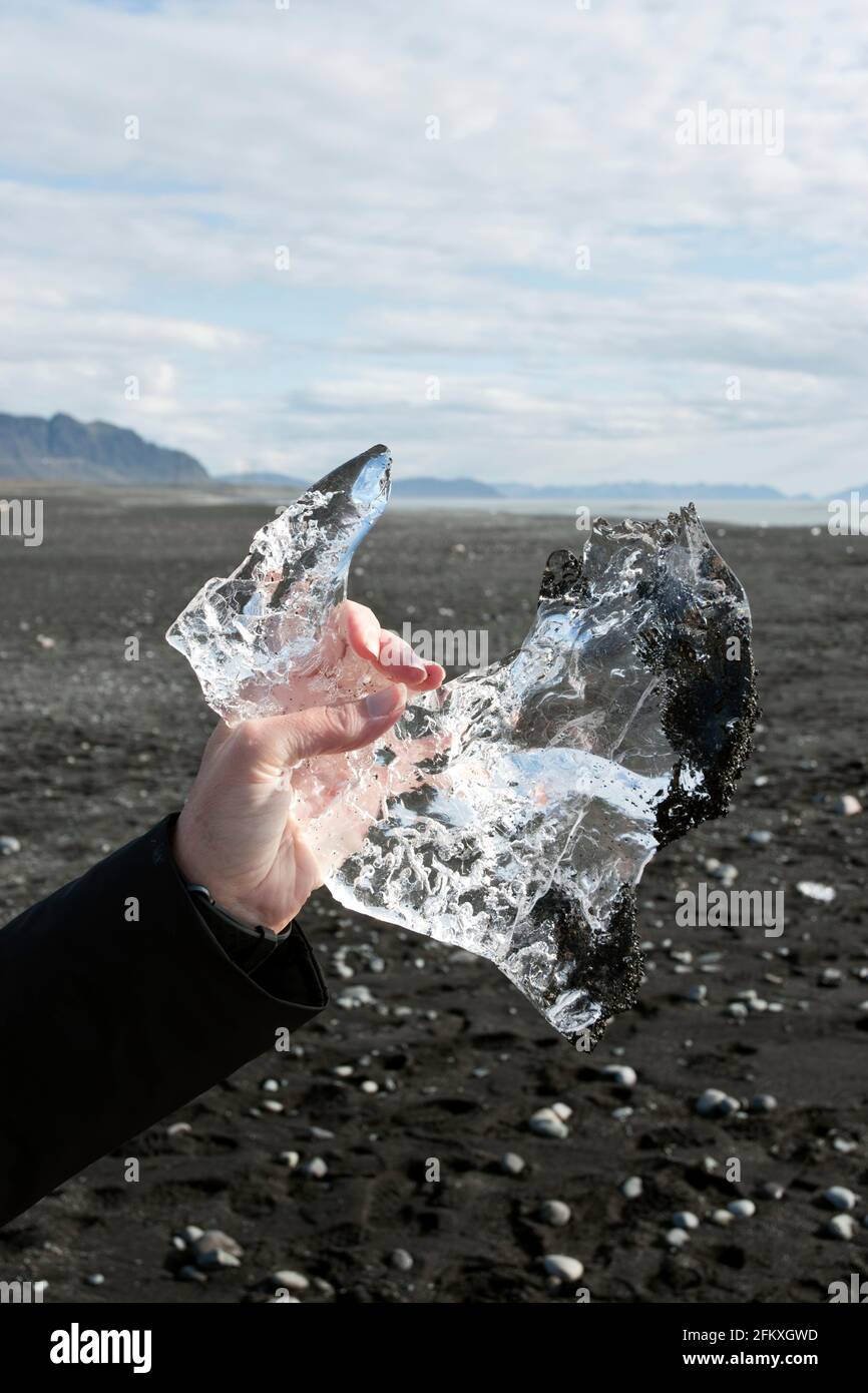 Una donna turistica tiene il ghiaccio dai ghiacciai che galleggiano attraverso la laguna di Jokulsarlon alla spiaggia di sabbia nera nel sud-ovest dell'Islanda. Foto Stock