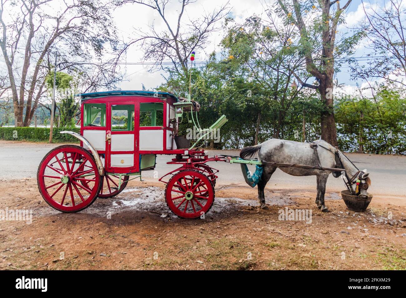 Carrozza a cavallo nella città di Pyin Oo Lwin, Myanmar Foto Stock