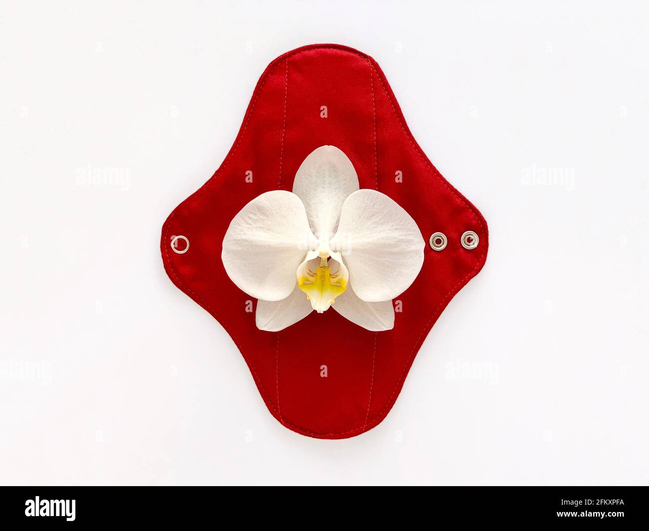assorbente igienico riutilizzabile, concetto di mestruazione eco, orchidea bianca Foto Stock