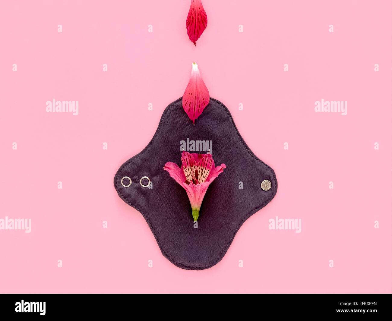 Assorbente igienico riutilizzabile, periodi ecofriendly, Alstroemeria rosa Foto Stock