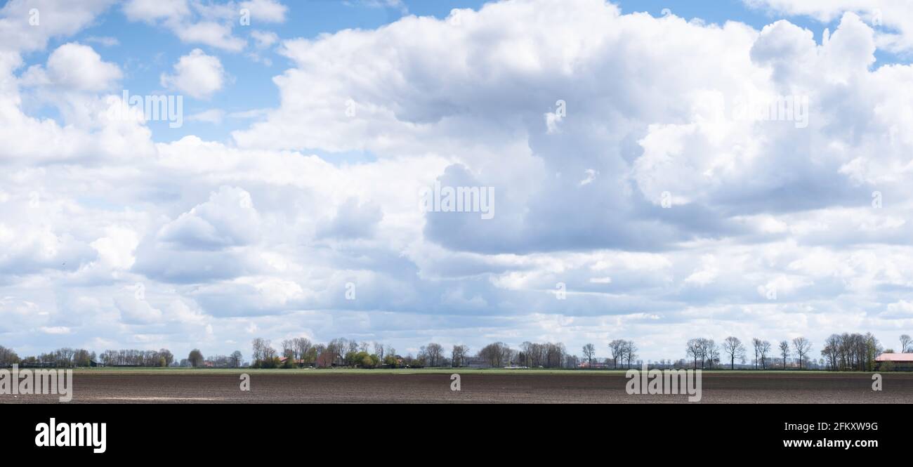 Tipico paesaggio pianeggiante olandese con un campo arato, una fila di alberi all'orizzonte e un cielo blu con belle nuvole in primavera. Immagine widescreen Foto Stock