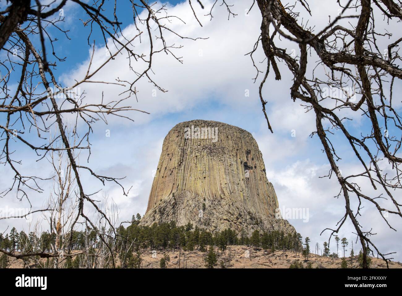 Devils Tower National Monument , Wyoming, USA Foto Stock