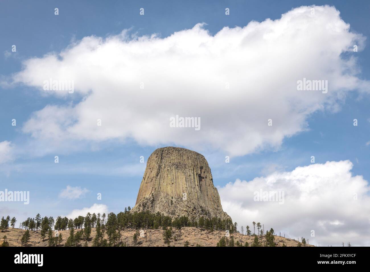 Devils Tower National Monument , Wyoming, USA Foto Stock