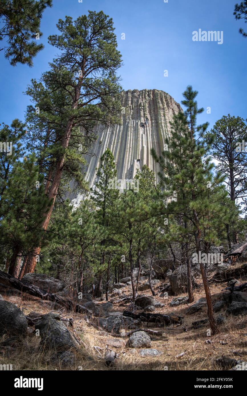 Devils Tower National Monument , Wyoming, USA Foto Stock