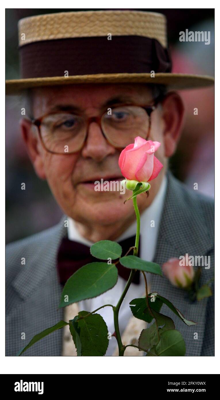 HAMPTON COURT PALACE FLOWER SHOW. Una delle migliaia di visitatori della mostra floreale ammira la nuova principessa affascinante rosa. Foto Stock