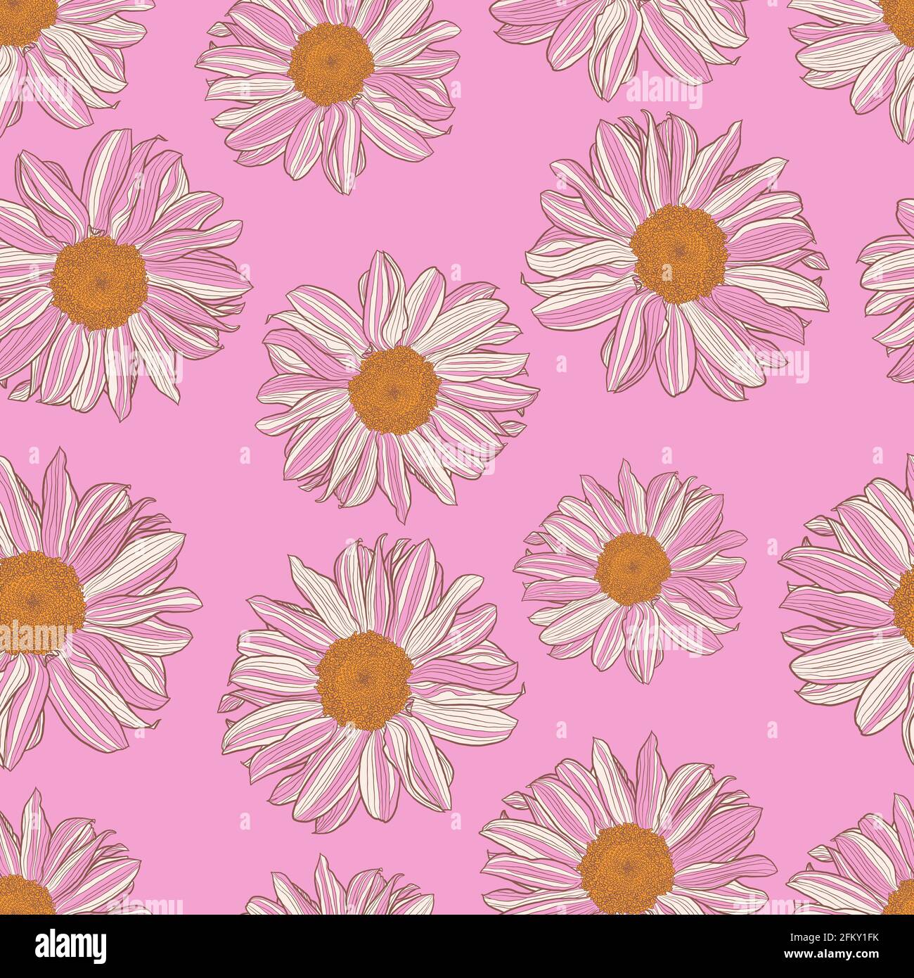 Motivo senza cuciture di margherite bianche e rosa con centro giallo su sfondo rosa. Stampa decorativa per carte da parati, involucri, tessuti, tessuti di moda o altre copertine stampabili. Illustrazione Vettoriale