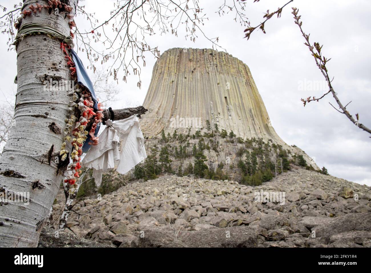 Devils Tower National Monument , Wyoming, USA Foto Stock