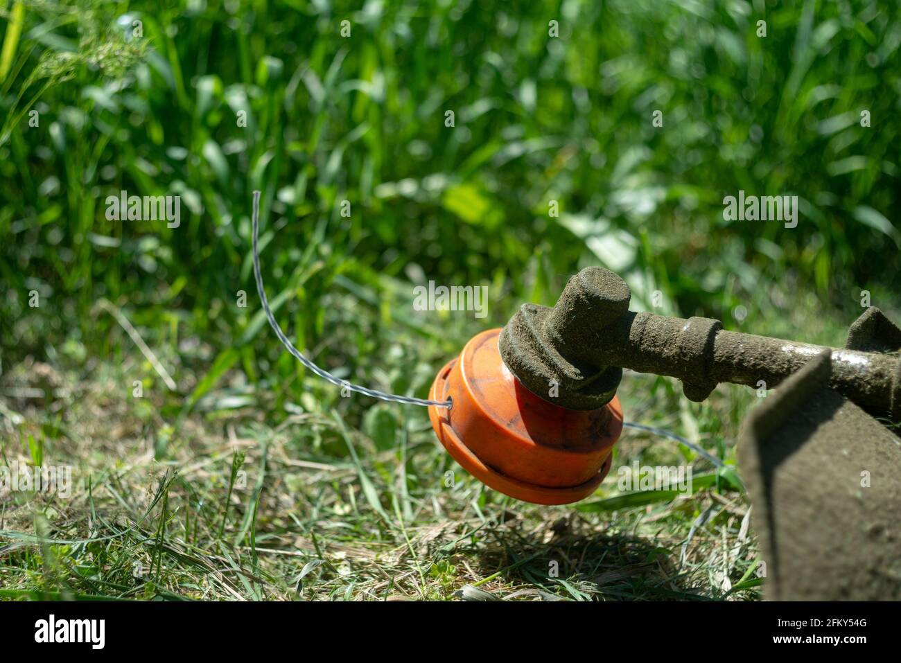 Manuale tosaerba su uno sfondo di colore verde erba, erba tagliata in non luoghi accessibili Foto Stock
