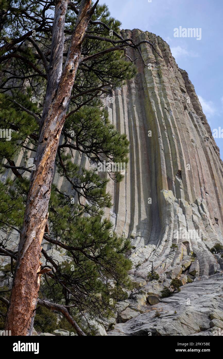 Devils Tower National Monument , Wyoming, USA Foto Stock