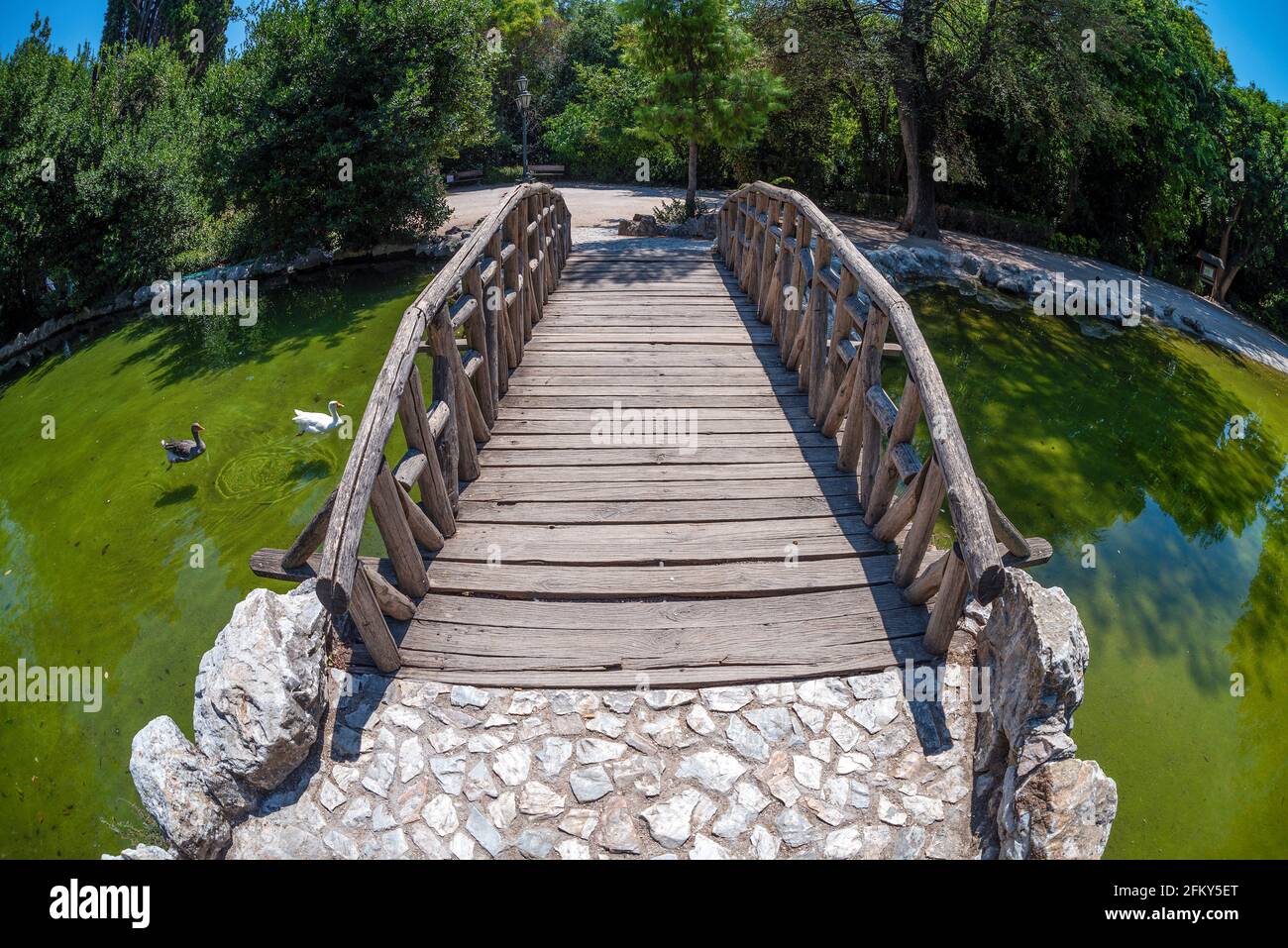 Ponte di legno sul piccolo lago artificiale presso il Giardino Nazionale della città di Atene. E' un parco pubblico vicino a piazza Syntagma e alla Sala Zappeion Foto Stock