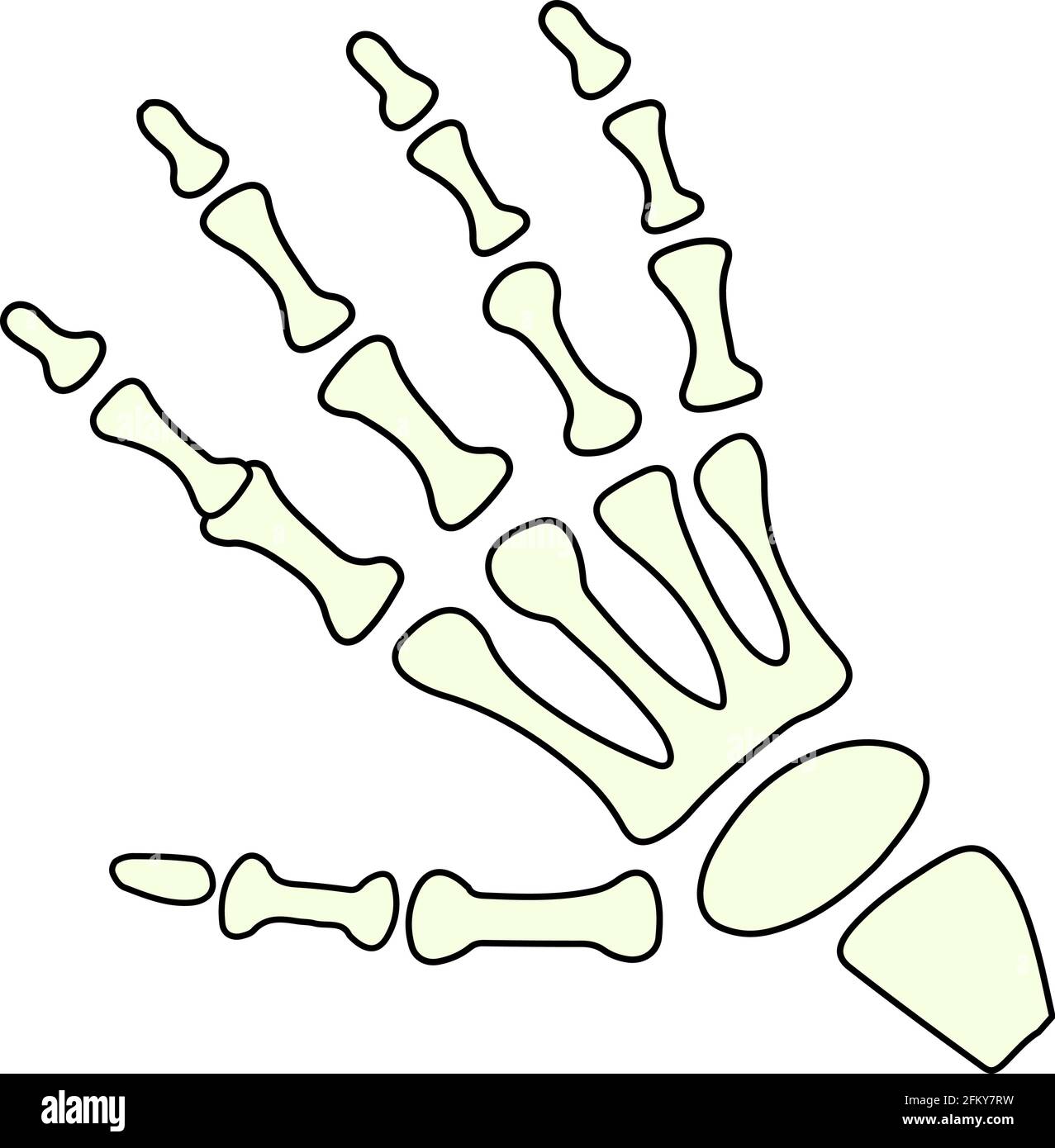 Mano scheletro vettore che mostra il gesto ok. Illustrazione isolata Illustrazione Vettoriale
