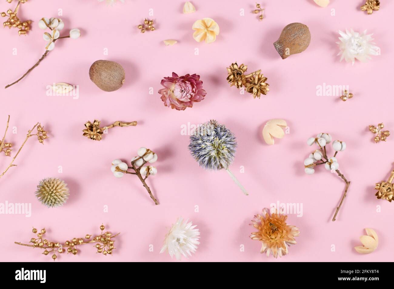 Posa piatta con fiori secchi vari e parti di pianta sopra sfondo rosa Foto Stock