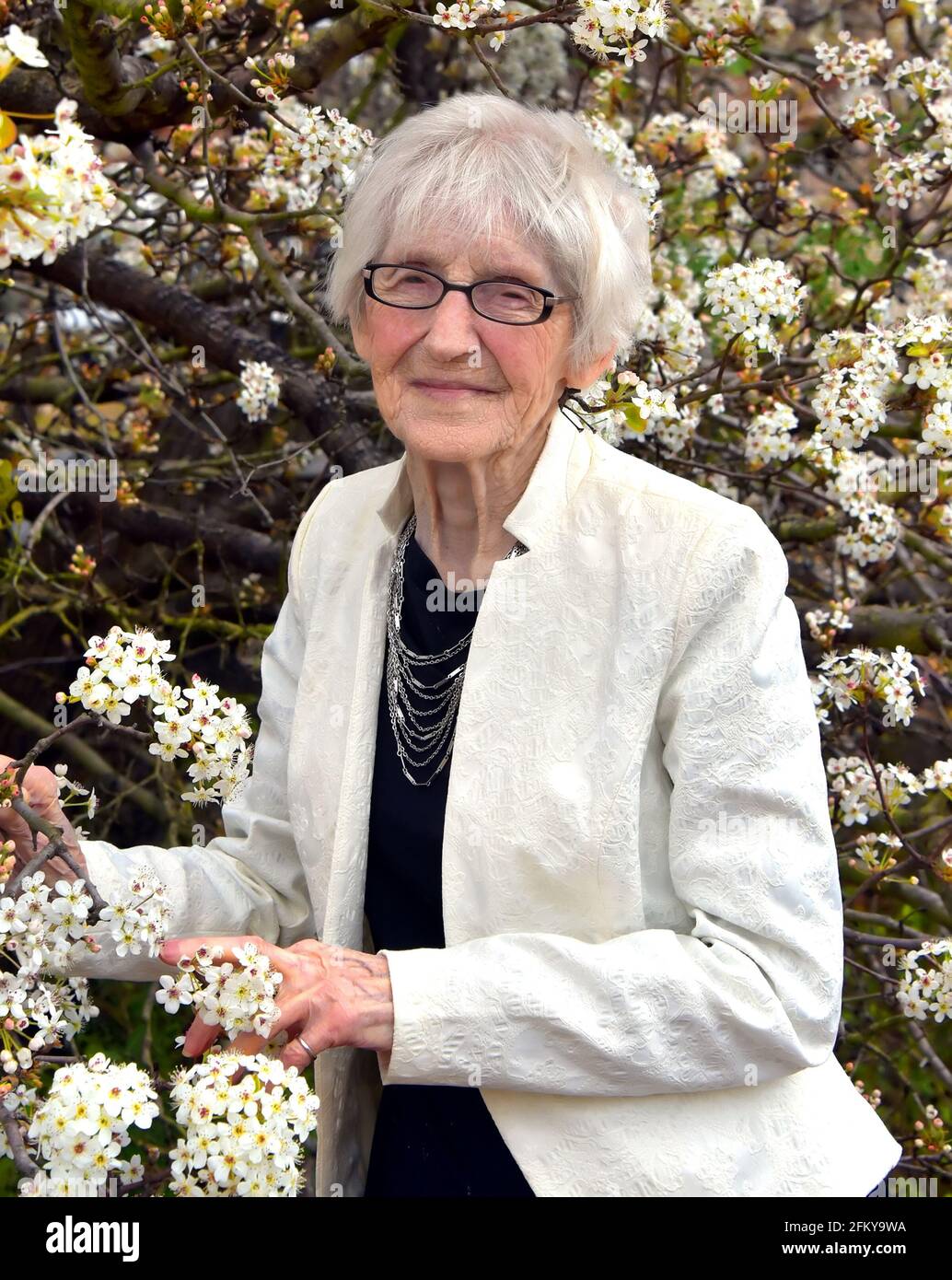 Donna anziana di quasi cento anni, posa da un albero di pera in piena fioritura. Sta godendo la vita e felice e sana. Foto Stock