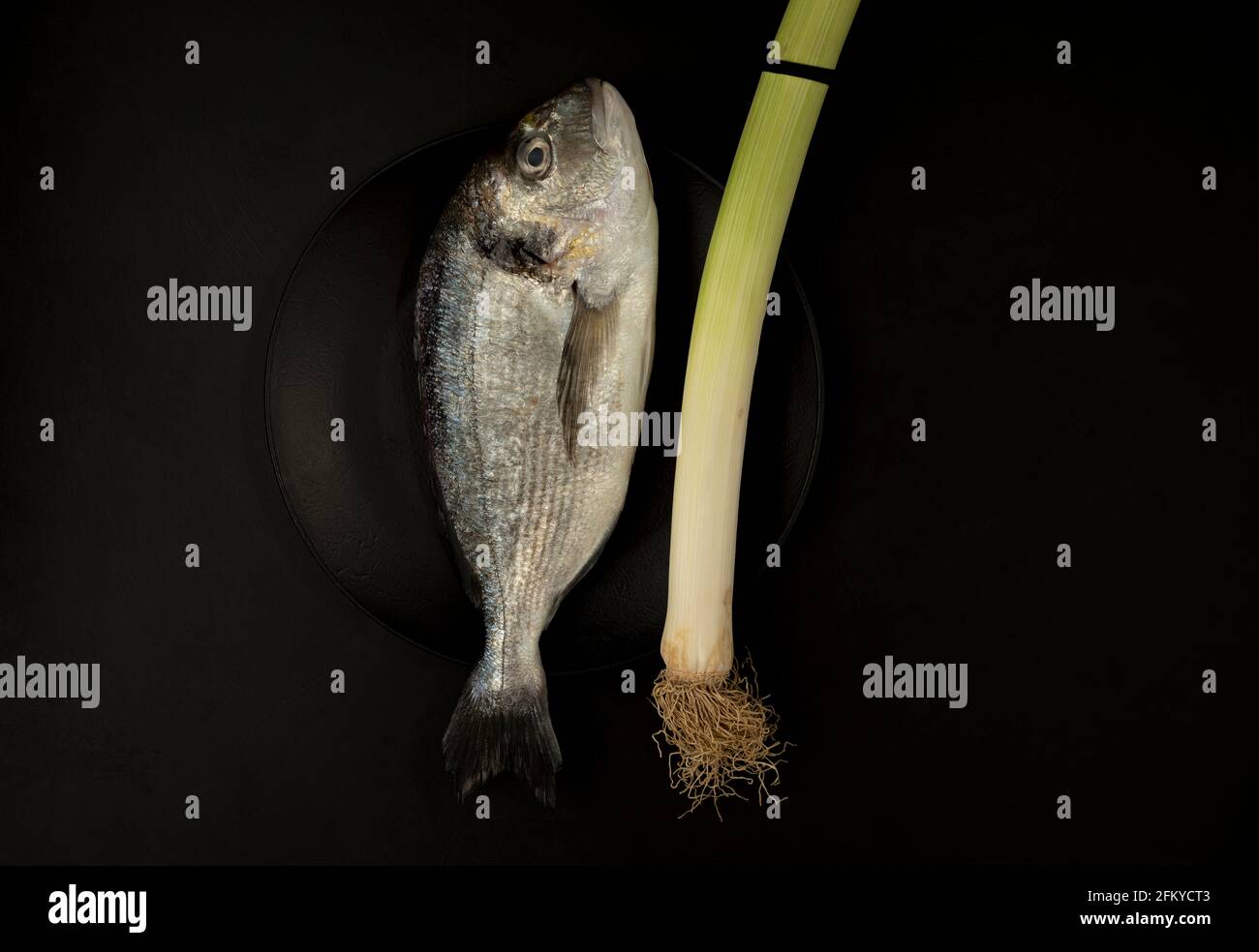 Un pesce di orata cruda in un piatto nero su Sfondo nero con foto di colore scuro Foto Stock