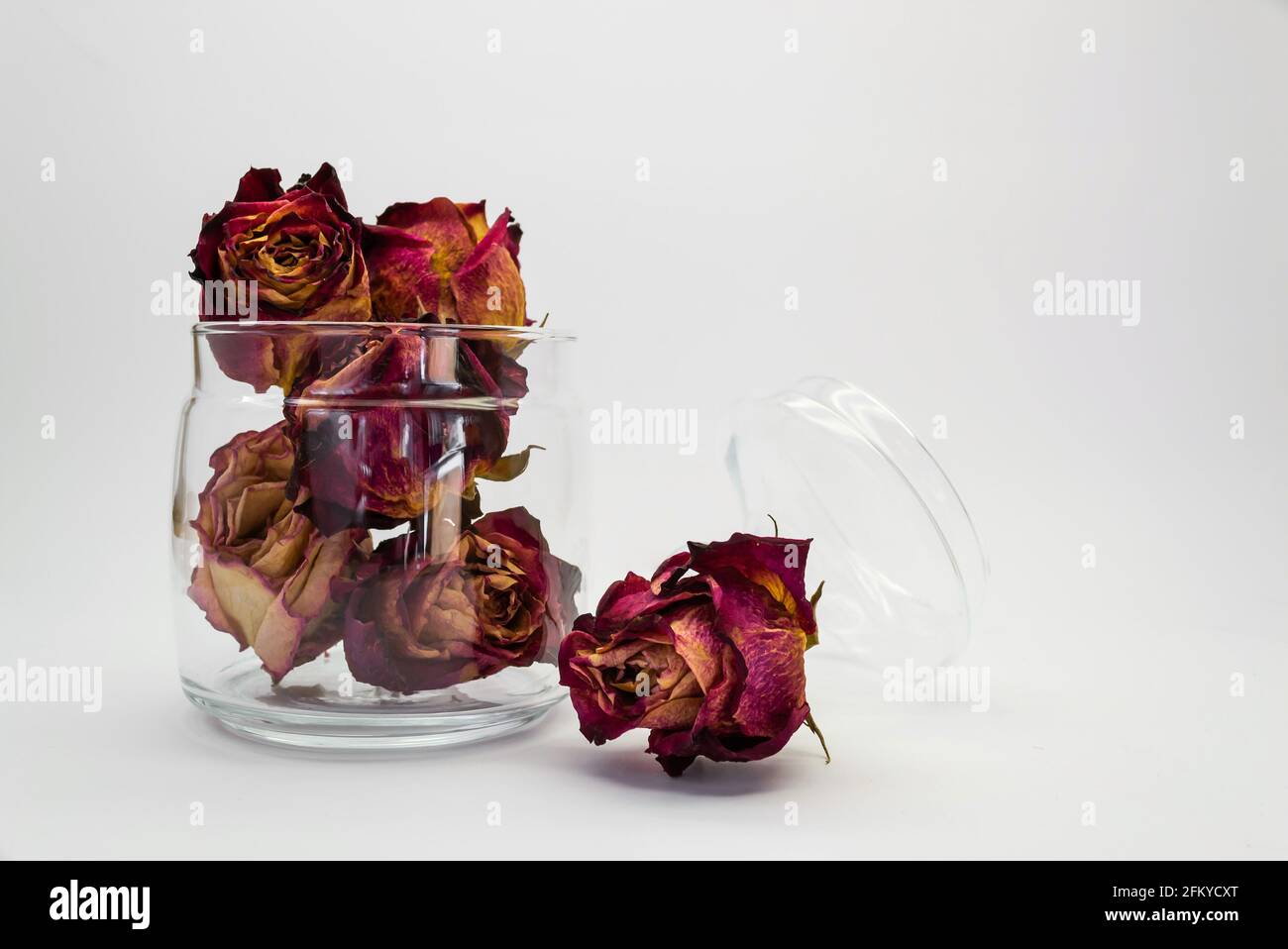 Rose secche in un vaso di vetro su uno sfondo chiaro Foto Stock