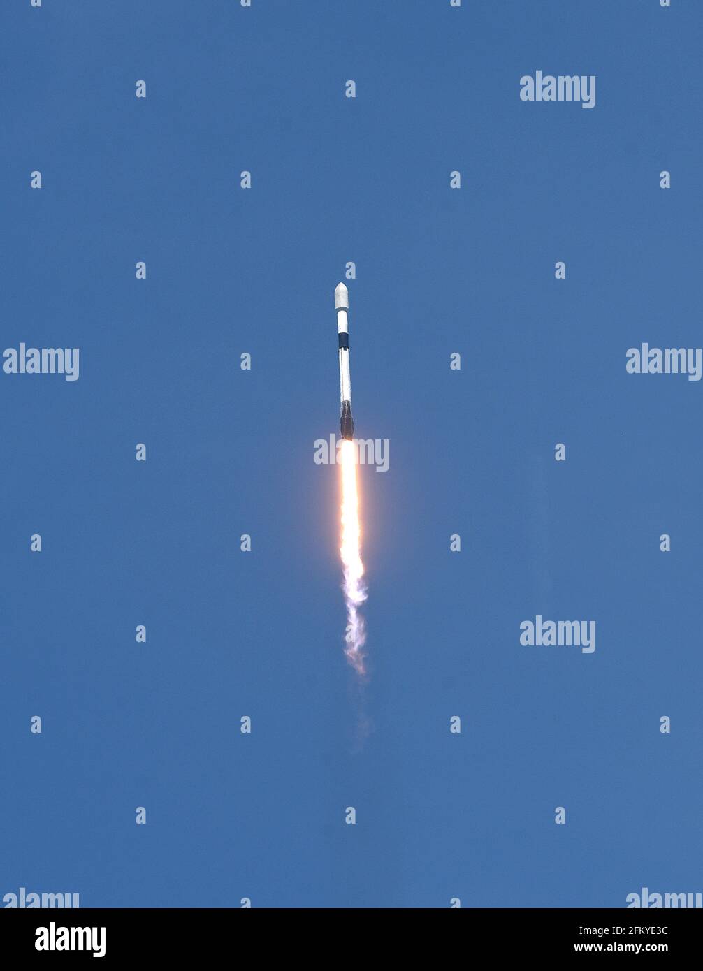 Merrit Island, Stati Uniti. 04 maggio 2021. Un razzo SpaceX Falcon 9 si dirige in orbita dopo il sollevamento dal pad 39A al Kennedy Space Center che trasporta il 26esimo lotto di 60 satelliti come parte della rete internet a banda larga Starlink di SpaceX. Credit: SOPA Images Limited/Alamy Live News Foto Stock