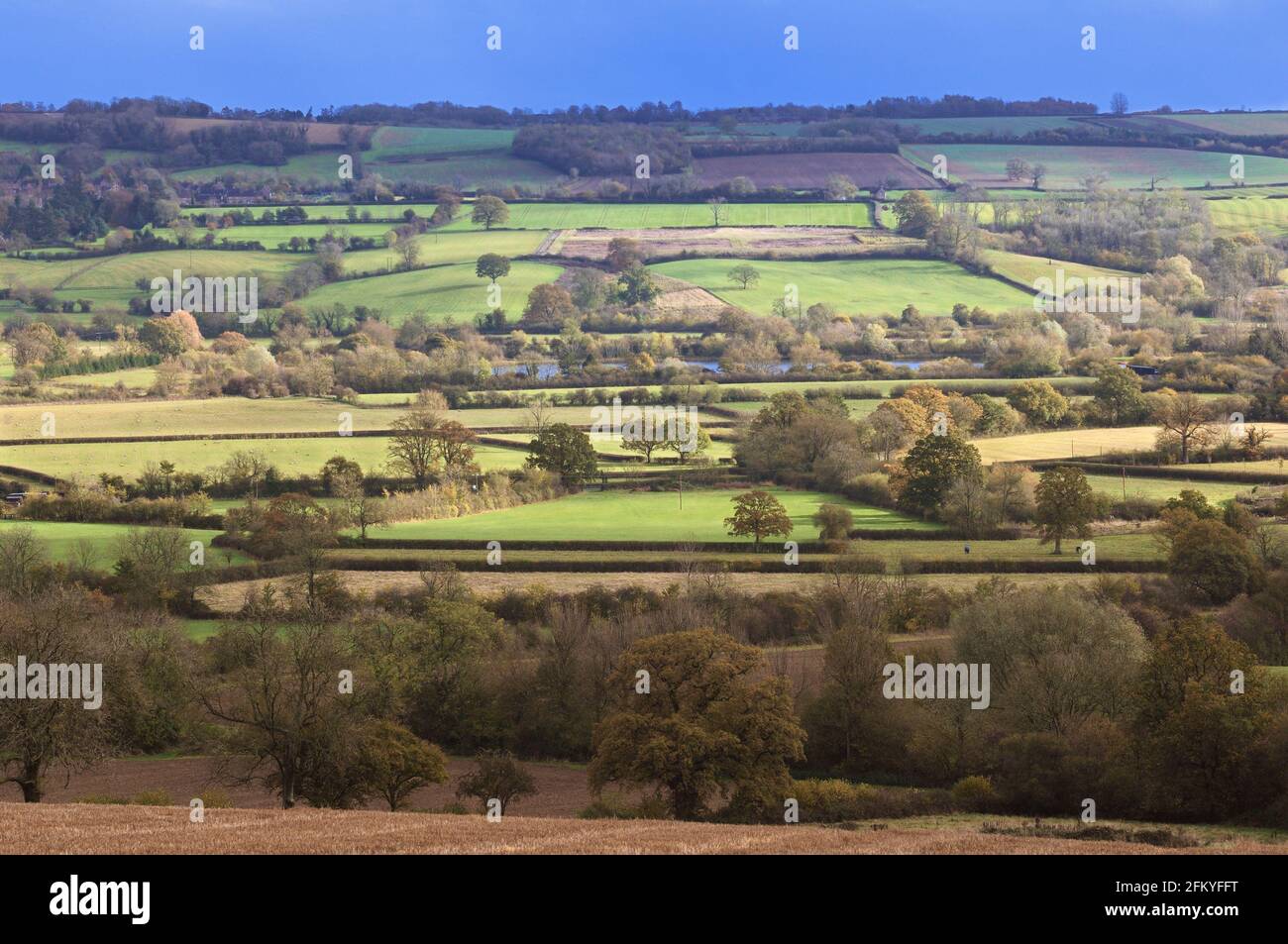 Campagna inglese paesaggio autunnale con un mosaico di campi, alberi e siepi bisecati da un fiume. Cotswolds, Gloucestershire, Inghilterra, Regno Unito Foto Stock