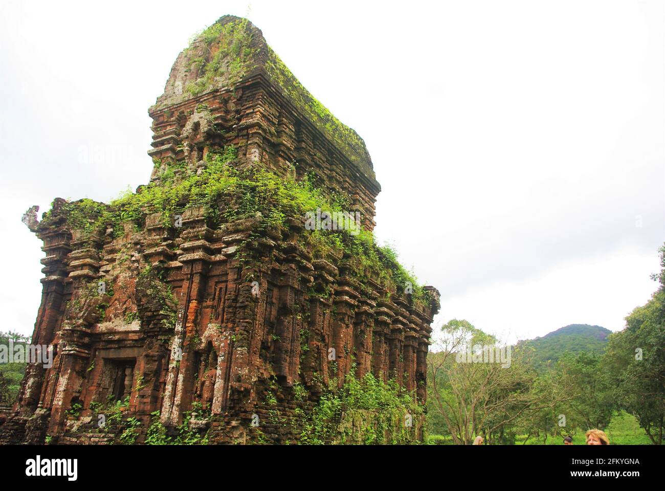 Vista di My Son, antica città della civiltà Champa, sito gravemente danneggiato durante la guerra tra Stati Uniti e Vietnam, vicino a da Nang, Vietnam, Asia Foto Stock