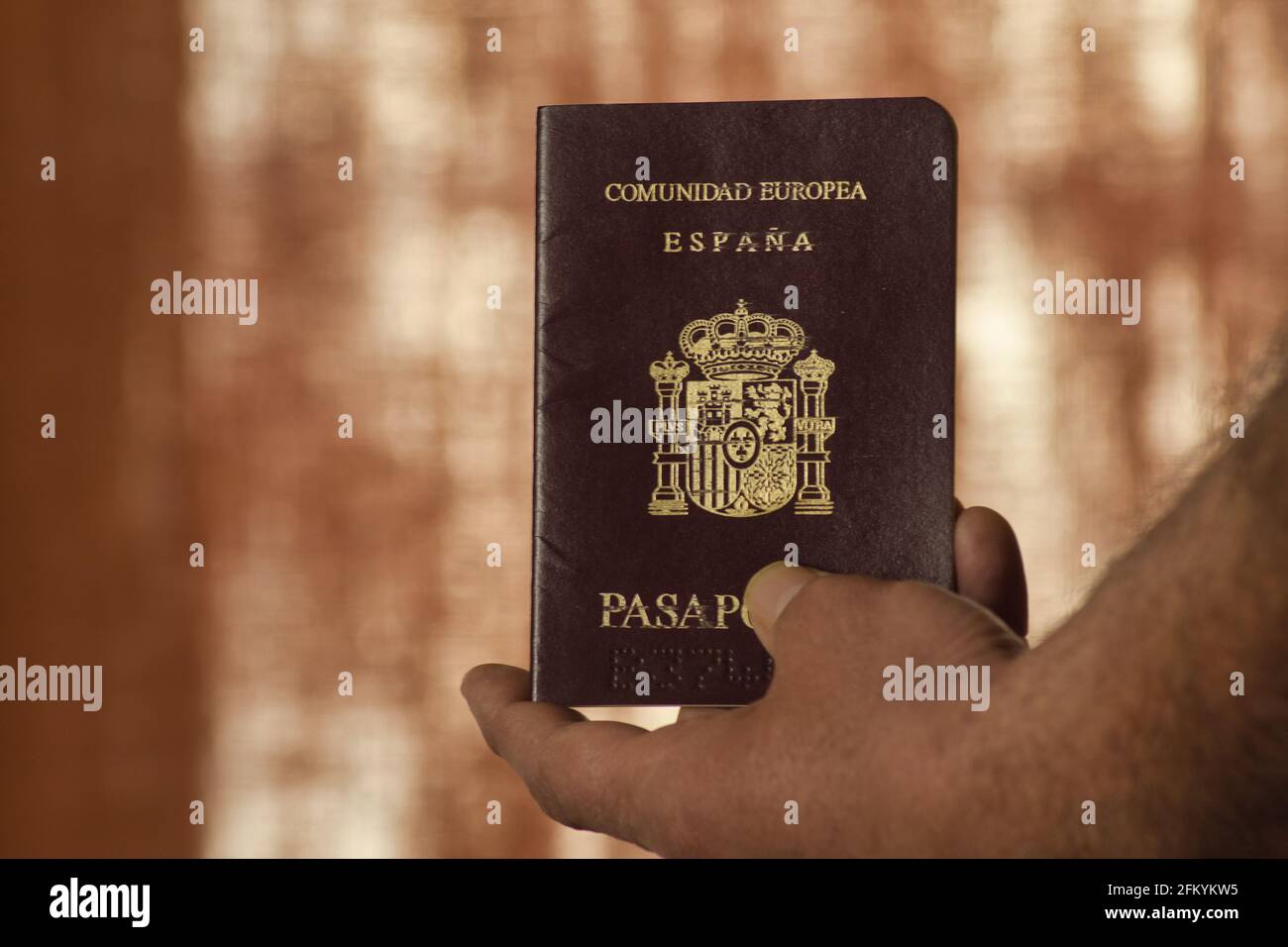 mano dell'uomo che tiene un passaporto in primo piano Foto Stock