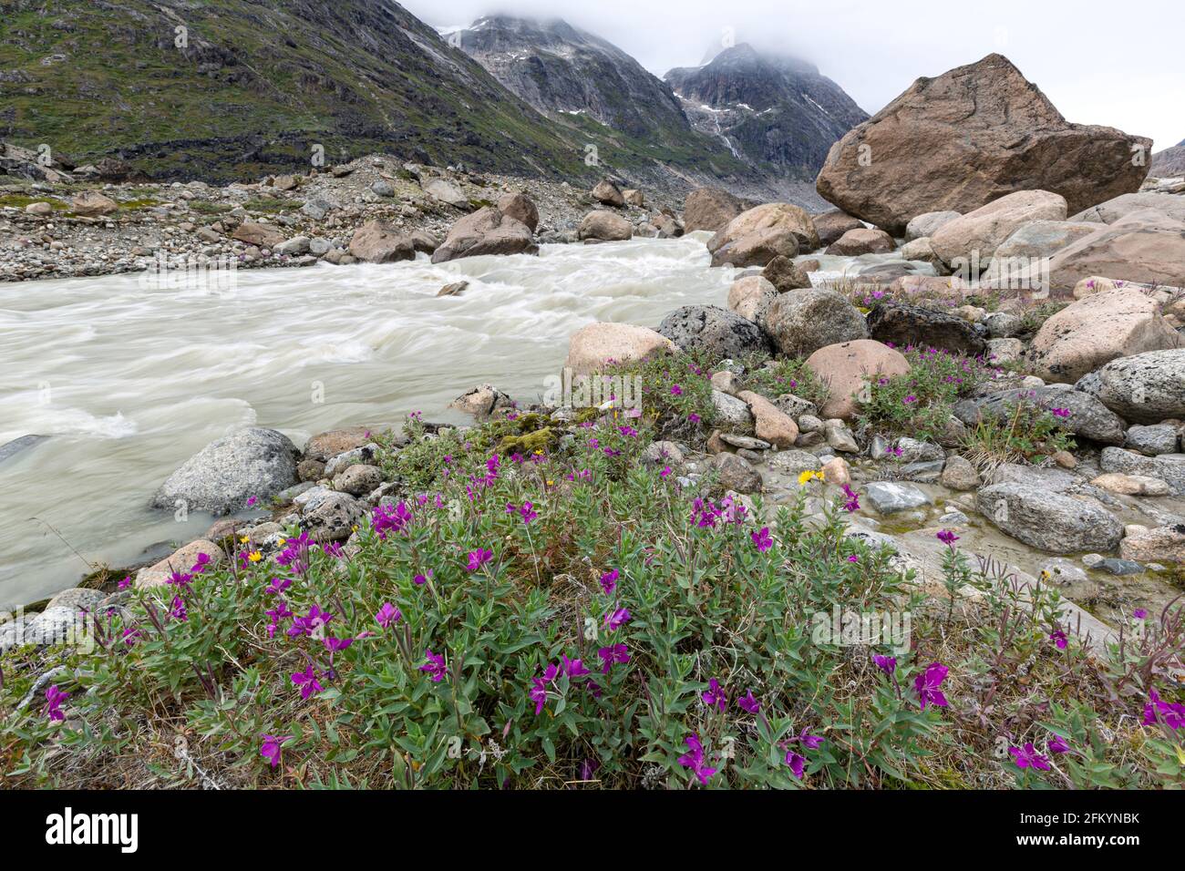 Le bellezze fluviali fiancheggiano il bordo di un fiume di acque di fusione dal ghiacciaio di Igdlorsuit, Prins Christian Sund, Groenlandia. Foto Stock