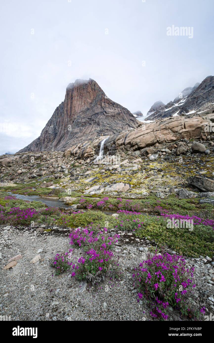 Le bellezze fluviali fiancheggiano il bordo di un fiume di acque di fusione dal ghiacciaio di Igdlorsuit, Prins Christian Sund, Groenlandia. Foto Stock