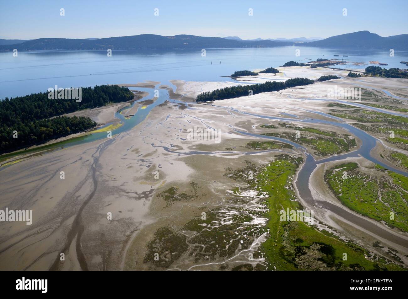 Shoal Islands, Chemainus River Estuary, Chemainus Valley, British Columbia, Canada. Foto Stock