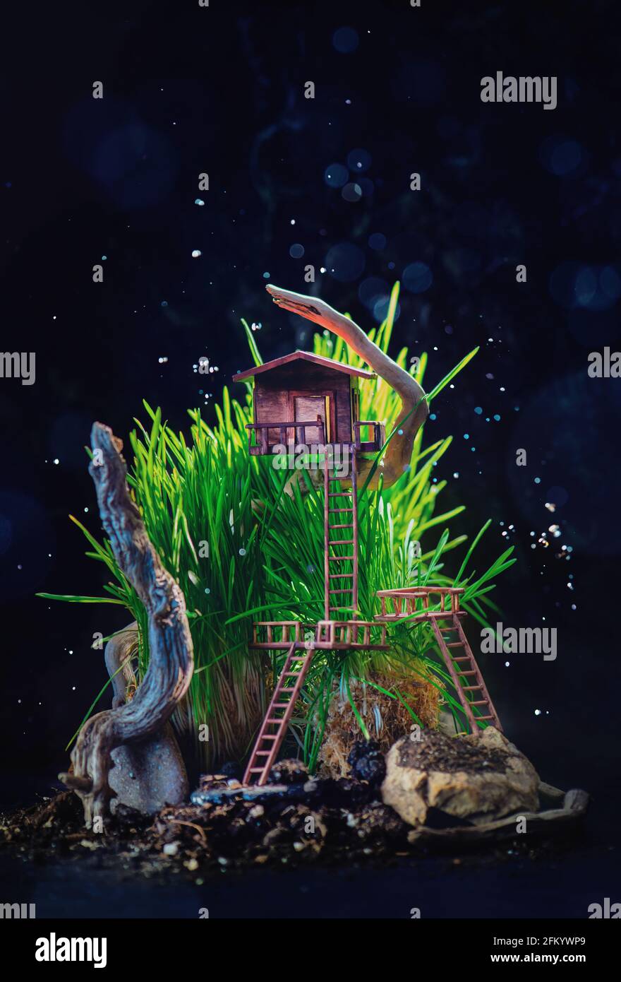 Casa sull'albero in miniatura in erba alta con driftwood, avventure nella foresta, copertina libro per bambini Foto Stock