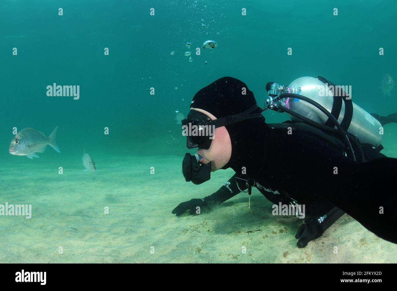 Subacqueo in muta nera giace su fondo di sabbia bianco piatto in acque poco profonde guardando i pesci. Foto Stock